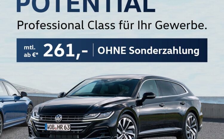  VW Professional Class