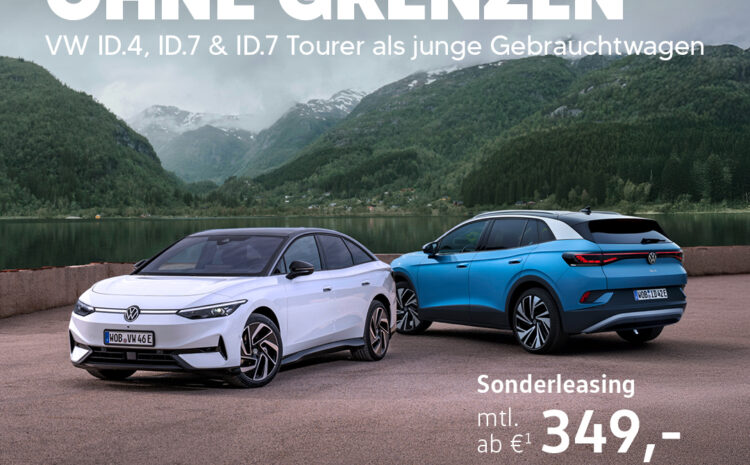  Junge gebrauchte ID.s
